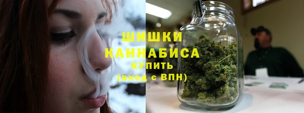 прущие грибы Алзамай