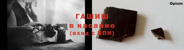 прущие грибы Алзамай